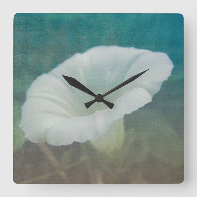 Horloge Carrée White Bindweed - La gloire vivace du matin (Recto)