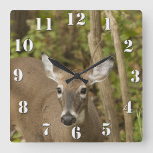Horloge Carrée White Tailed