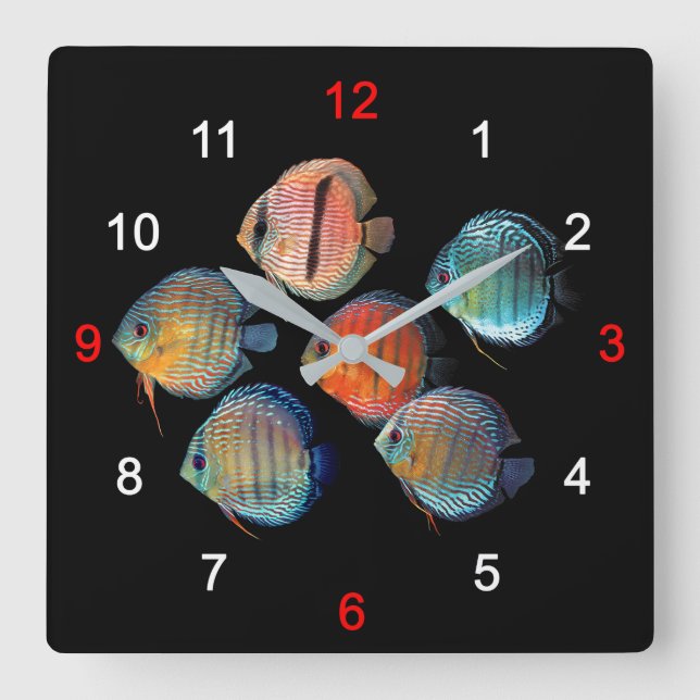Horloge Carrée Wild Discus fish (Recto)