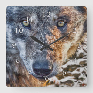 HORLOGE CARRÉE WOLF STAND TON SOL
