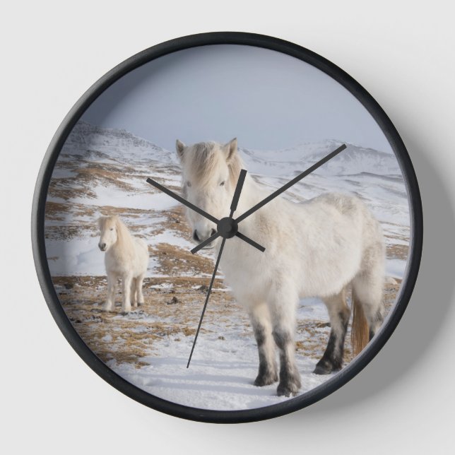 Horloge Cheval islandais | Blonduos, Islande (Recto)