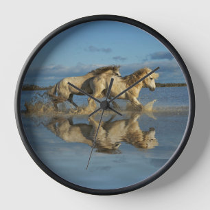 Horloge Chevaux de Camargue et reflet, sud de la France