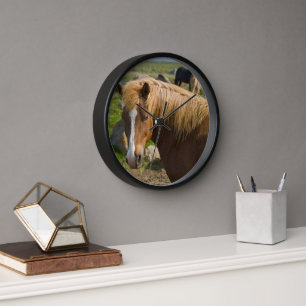 Horloge Chevaux islandais dans le nord-est de l'Islande