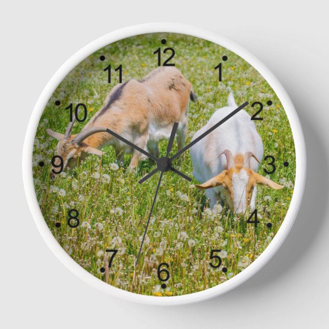 Horloge Chèvres Animaux de ferme Blanc rond (Recto)