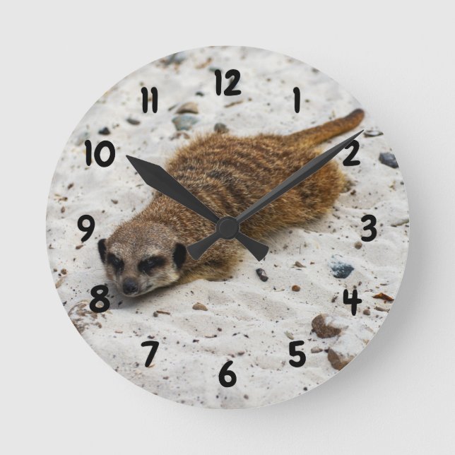Horloge Chillin' Meerkat (Recto)