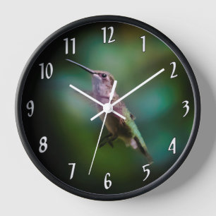Horloge Colibri à gorge rubis - Photo originale