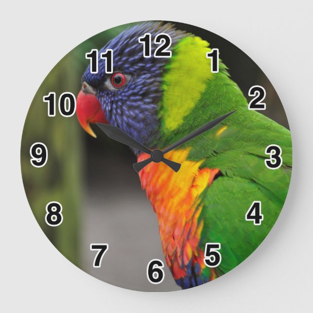 Horloge colorée de perroquets (Recto)