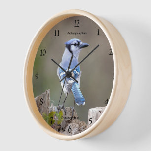 Horloge Cute Blue Jay Songbird Poser sur Treestump