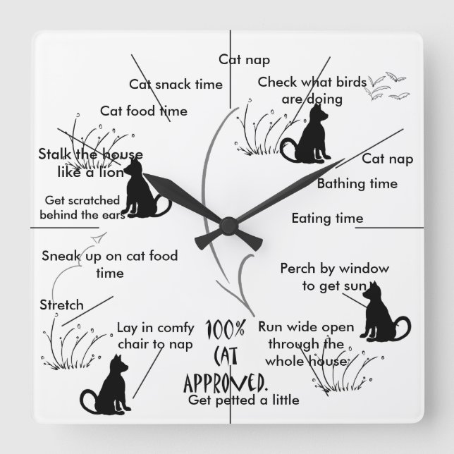 Horloge d'activité de chat pour chats CricketDiane (Recto)
