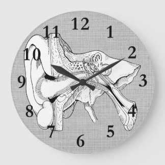 HORLOGE DE CRU D'ANATOMIE D'OREILLE