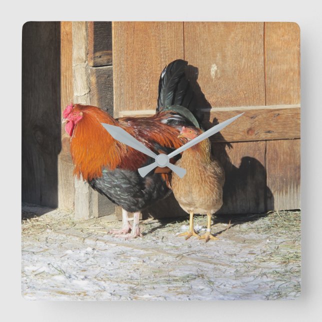 Horloge de cuisine de poulet rustique Hen et Roost (Recto)