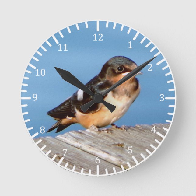 Horloge de la grange Swallow (Recto)