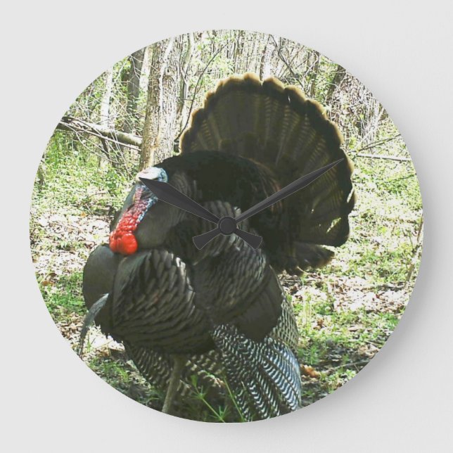 HORLOGE DE MUR DE TURQUIE ENTIÈREMENT ÉDIFIÉ (Recto)