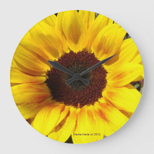 Horloge de tournesol