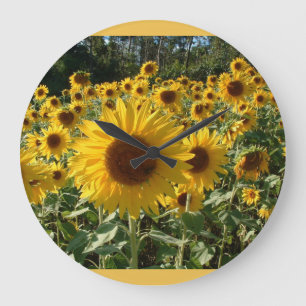 Horloge de tournesol…