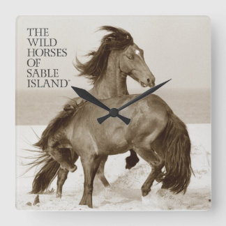 Horloge des Chevaux sauvages de l'île de Sable