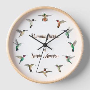 Horloge des colibris d'Amérique du Nord