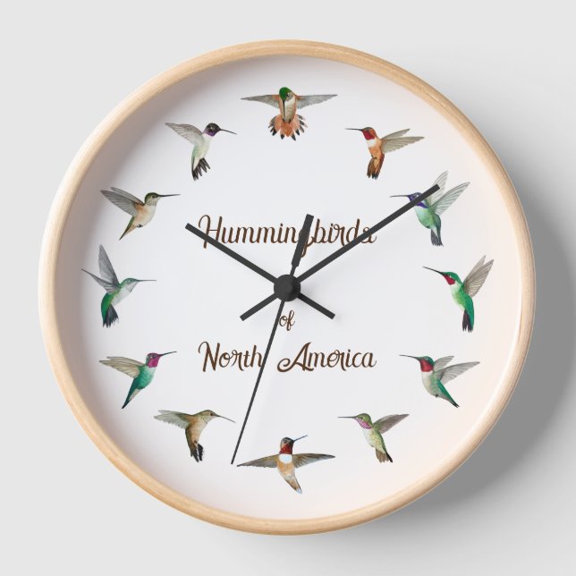 Horloge des colibris d'Amérique du Nord (Recto)