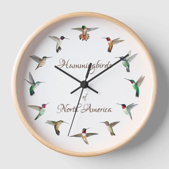 Horloge des colibris d'Amérique du Nord (Recto)