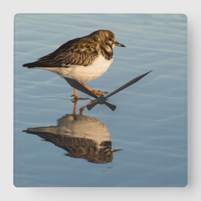 Horloge d'océan de réflexion de photo d'oiseau de (Recto)