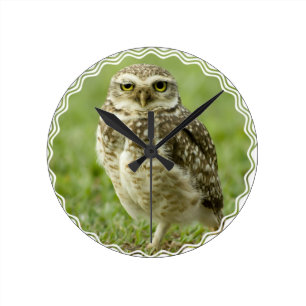 Horloge du hibou d'alerte