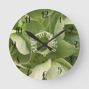 Horloge du jardin