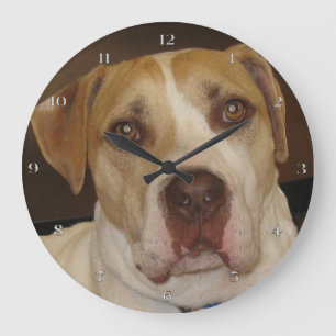Horloge du mur de support