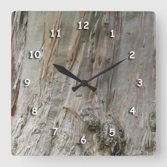 Horloge - Eucalyptus Bark (Recto)