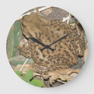Horloge européenne commune du mur de crapaud