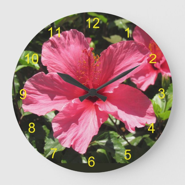 Horloge - Fleur d'Hibiscus rose (Recto)