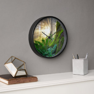 Horloge Forêt côtière du Pacifique, Oregon