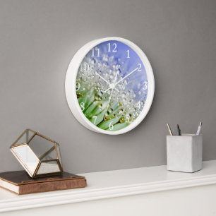 Horloge Graines de Dandelion avec Droplets de Dew