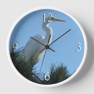 Horloge Grande Aigrette en Floride ensoleillée
