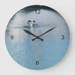 Horloge - Grebe Occidentale dans le port