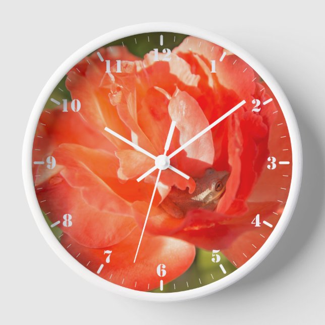 Horloge Grenouille dans la rose rouge (Recto)