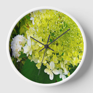 Horloge Hydrangea Élégant Chartreuse Vert Limelight