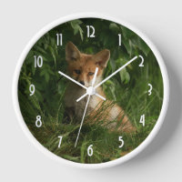 Le chou renard dans une forêt verte