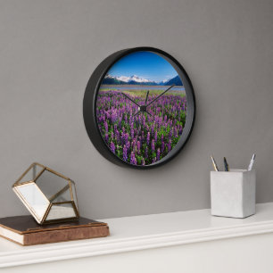 Horloge Lupines en fleur   Kenai Mountains, Alaska