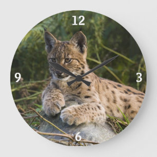 Horloge - lynx
