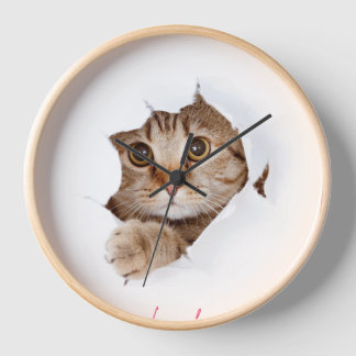 horloge magnifique et autre produit.