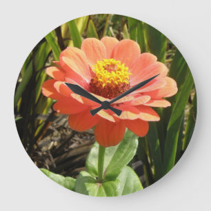 Horloge murale à fleurs Zinnia orange