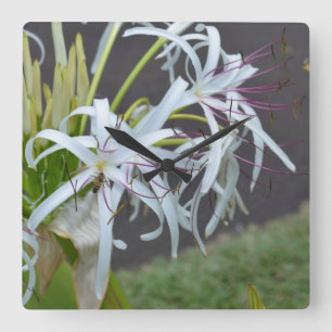 Horloge murale aux parfums floraux