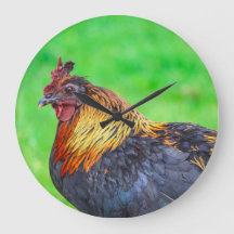 Horloge murale circulaire de poulet Maui