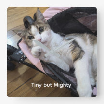 Horloge murale Dainty Doll-- Édition Buggy Rose