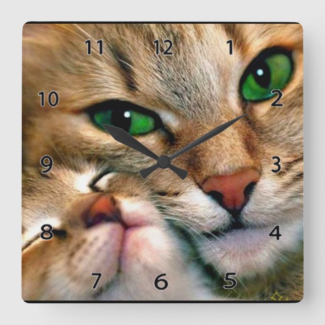 Horloge murale d'amoureux de les chats (Recto)