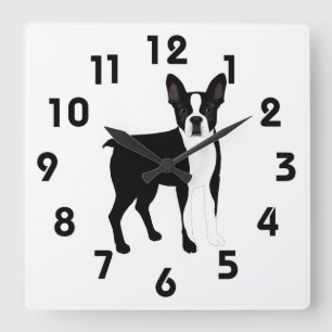 Horloge murale de Boston Terrier