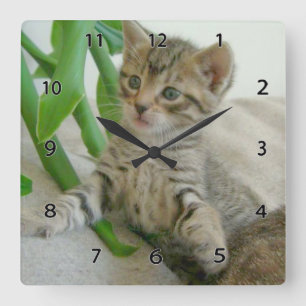 Horloge murale de chat