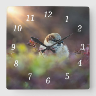 Horloge murale de l'angle de bain solaire