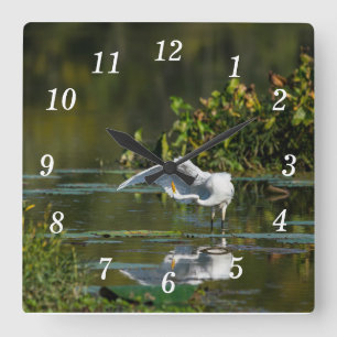 Horloge murale de l'examen de l'aile Egret