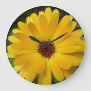 Horloge murale de Macro Marigold jaune